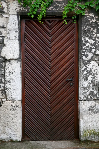 Фон вертикальный коричневый текстурированный полосатый полосатый по диагонали старая деревянная дверь с металлической ручкой в стене из серого камня с зелеными растениями восхождения с маленькими листьями на вершине — стоковое фото
