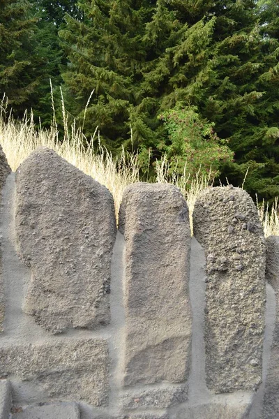 Eine Mauer Aus Vulkanischem Stein Gelbem Gras Und Grünem Wald — Stockfoto