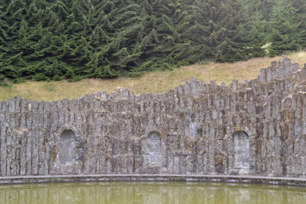 Duitsland Kassel 2018 Stenen Muur Rond Vijver Geel Gras Groen — Stockfoto