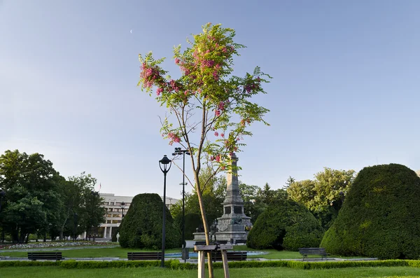 Imagem do centro da cidade de Ruse - Bulgária — Fotografia de Stock