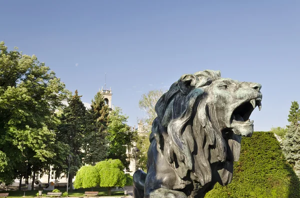 Estatua de un león en el centro de Ruse, Bulgaria — Foto de Stock