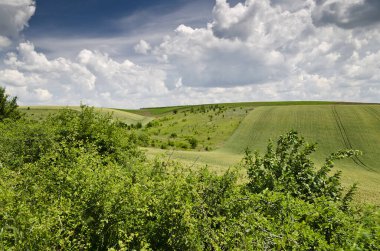 Dramatik Mavi Gökyüzü, Meadow ve Belitsa köyünün yakınında bir çalı.
