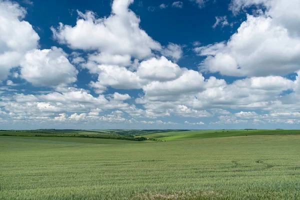 Auf Tuchfühlung Mit Der Landwirtschaft Sturm — Stockfoto