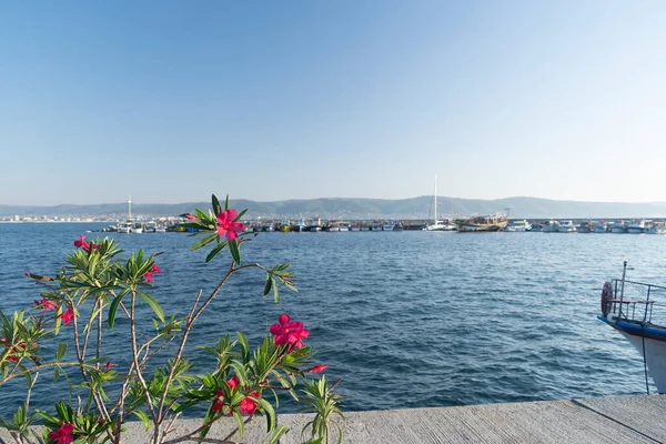 Tôt Matin Sur Plage Dans Station Nessebar Bulgarie — Photo