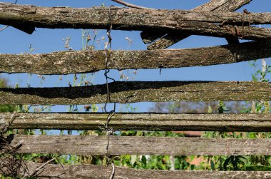 Tahta kütükler, çit gereçleri fotoğrafı.