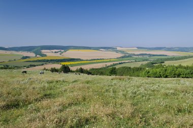 Yeşil alanlar - güzel köy manzara Kuzey Bulgaristan