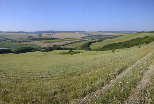 Green fields - Beautiful village landscape in northern Bulgaria — Stock Photo, Image
