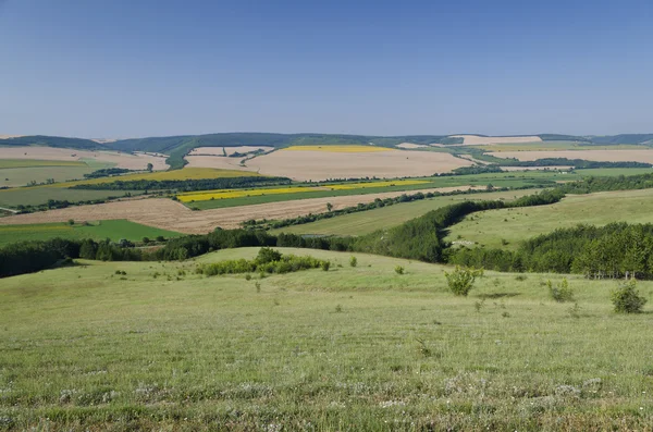 Zelená pole - krajina krásná vesnice v severním Bulharsku — Stock fotografie