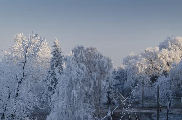 Zimní krajiny nedaleko města Ruse v severním Bulharsku — Stock fotografie