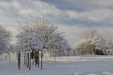 Kış Masalı Kuzey Bulgaristan alanlarında