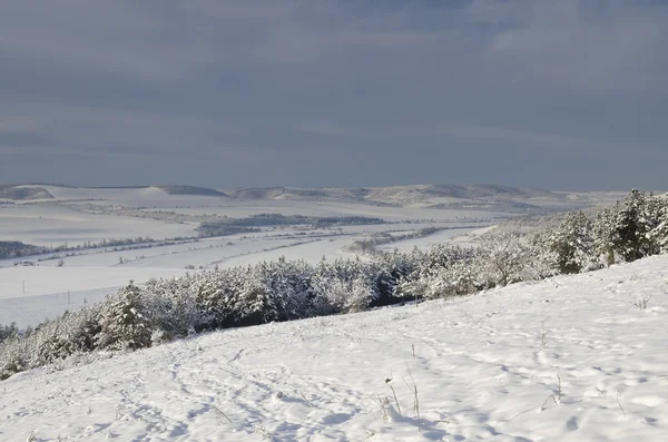 Winter tale op het gebied van noorden van Bulgarije — Stockfoto