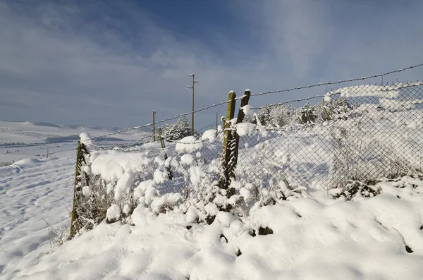 Winter tale op het gebied van noorden van Bulgarije — Stockfoto