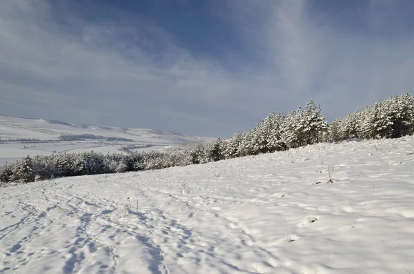 Winter tale op het gebied van noorden van Bulgarije — Stockfoto