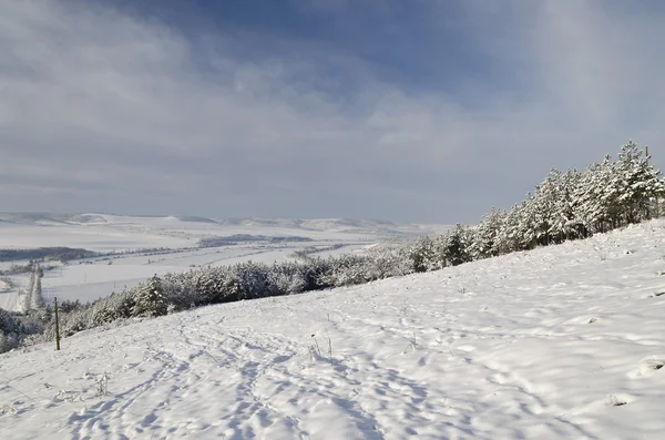 Wintermärchen auf den Feldern Nordbulgariens — Stockfoto