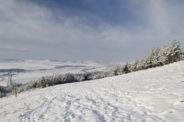 Winter tale op het gebied van noorden van Bulgarije — Stockfoto