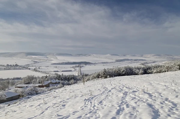 Wintermärchen auf den Feldern Nordbulgariens — Stockfoto