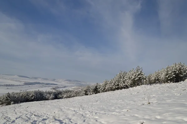 Winter tale op het gebied van noorden van Bulgarije — Stockfoto