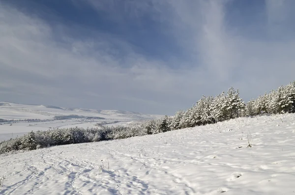 Winter tale op het gebied van noorden van Bulgarije — Stockfoto