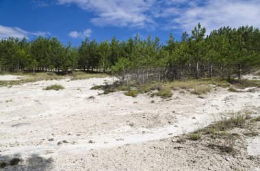 Güneşli mavi gökyüzü, çayır ve Katselovo köyü yakınlarında bir tepe
