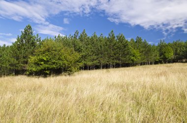 Güneşli mavi gökyüzü, çayır ve Katselovo köyü yakınlarında bir tepe