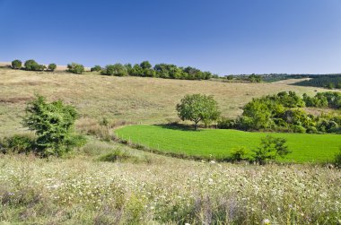 Güneşli mavi gökyüzü, çayır ve Katselovo köyü yakınlarında bir tepe