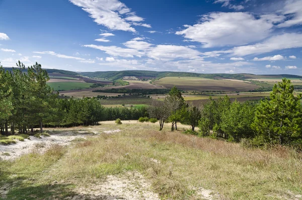 Sunny modré oblohy, louka a kopci nedaleko obce Katselovo — Stock fotografie