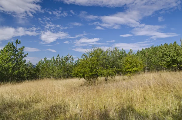 Sunny Blue Sky, Prato e una collina vicino al villaggio Katselovo — Foto Stock