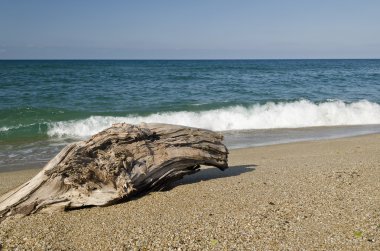 Sahilde dalgalanan dalgalar - Bulgar deniz manzaraları