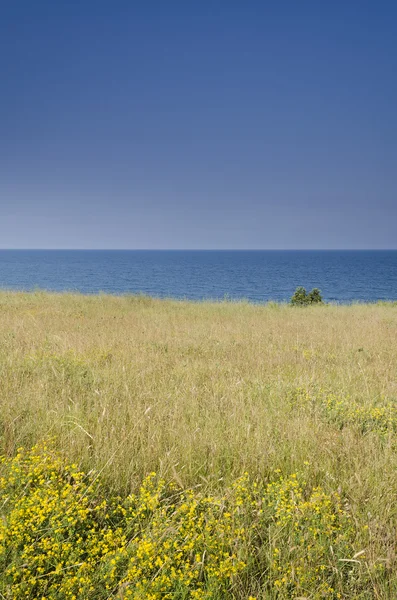 Belle località bulgare paesaggi nella splendida giornata estiva — Foto Stock