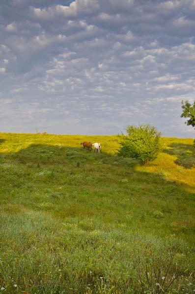 Sunny Blue Sky, Prato e colline vicino alle Sinemorets — Foto Stock