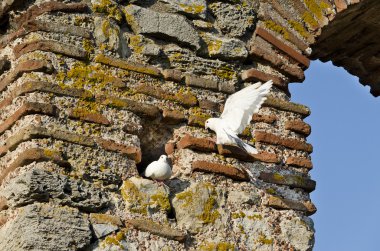 Kuşlar üzerinde Kilisesi, Saint Sofia - Nesebar - Unesco Worl kesiminde bir Ortodoks Kilisesi