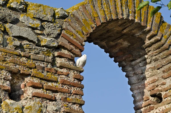 Birds Over The Church Of Saint Sofia- An Eastern Orthodox Church In Nesebar- Part Of The Unesco Worl — Stock Photo, Image