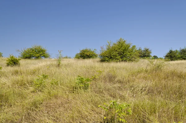 Close to the beautiful fields of Bulgaria — Stock Photo, Image