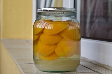 Ev yapımı komposto
