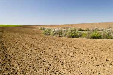 Bahar zamanı sürülmüş alana
