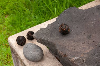 Üç siyah ceviz ve bir nehir taşının yüksek açılı görüntüsü çimenliğin yakınındaki büyük bir volkanik kaya parçasının üzerinde duruyor..