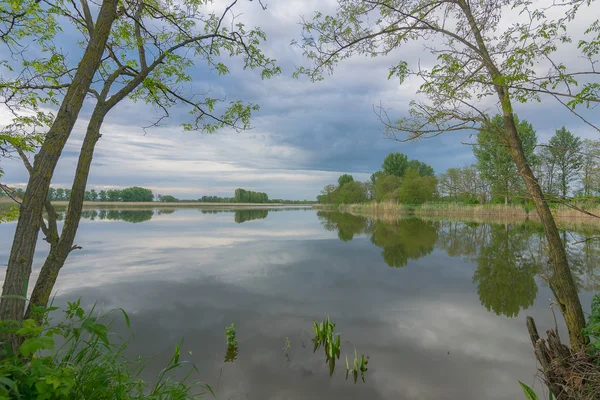 Calma en el río — Foto de Stock