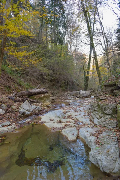 Údolí řeky Kavyarze — Stock fotografie