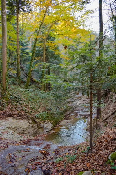 El valle del río Kavyarze — Foto de Stock