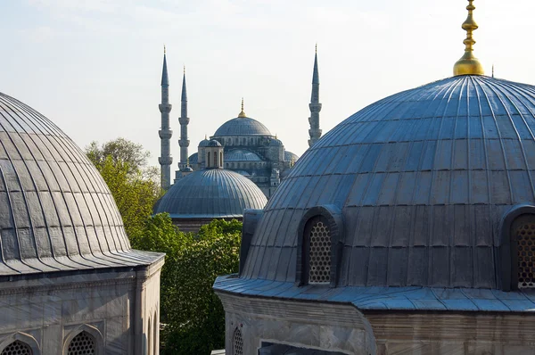 Blå moske fra hagia sophia - Stock-foto