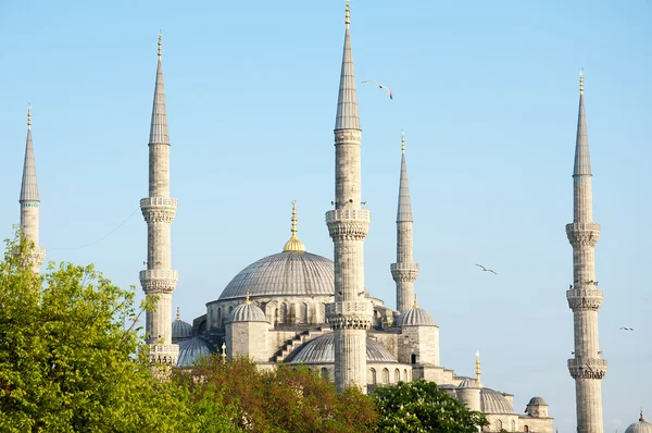 De blauwe moskee — Stockfoto