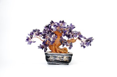 Bonsai biblo