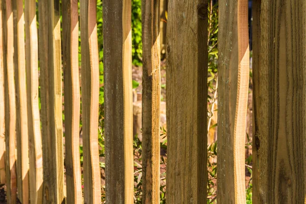Close up de cerca de madeira, ripas verticais de madeira . — Fotografia de Stock