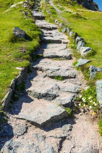 Stome flagged steps on path — Stock Photo, Image