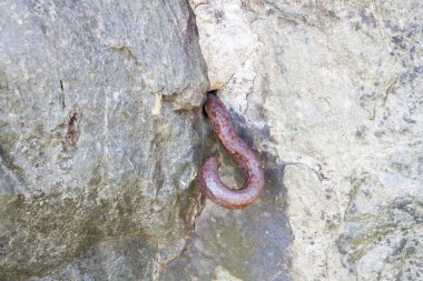 Metal rock kümesi kanca. Dünya Savaşı iki barikat.