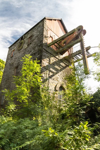 Top van beam motor omgeven door bomen. — Stockfoto