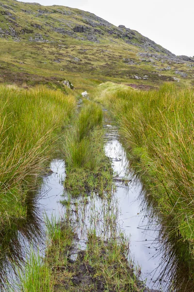 Line of Rhiwbach tramway, flooded track — Stock Photo, Image