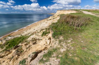 Düşük kumtaşı kayalıklarla ve yol, Hampshire, İngiltere.