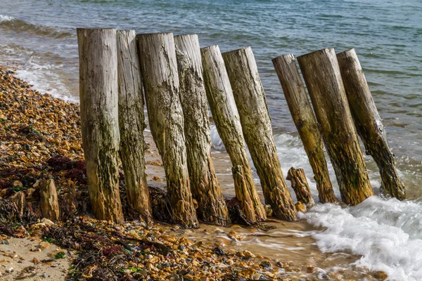 Verwitterte Groynes am steinigen Strand. — Stockfoto