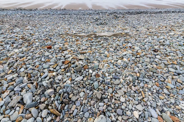 Stony beach at low tide — Stock Photo, Image